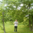 ���������� ����������, ���� ������� ����, 36 ���, ������������ ��� ������, ����� � ���������, c�������� ���������