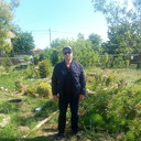 ���������� ������, ���� ������� ������, 44 ����, ������������ ��� ������, ����� � ���������, c�������� ���������