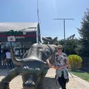 ���������� ������, ���� ������� �����, 29 ���, ������������ ��� ������, ����� � ���������