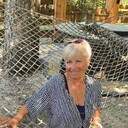  ,   , 59 ,   ,   