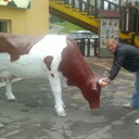 ���������� ���������, ���� ������� �������, 45 ���, ������������ ��� ������, ����� � ���������, c�������� ���������