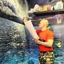 ���������� ������, ���� ������� ���������, 42 ����, ������������ ��� c�������� ���������