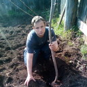  ,   , 37 ,   ,   , c 