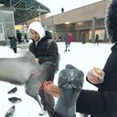 ���������� �����������, ���� ������� ����, 44 ����, ������������ ��� ������, ����� � ���������