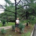 ���������� �������, ���� ������� �����, 41 ���, ������������ ��� ������, ����� � ���������, c�������� ���������, ���������