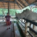 ���������� �������������-����������, ���� ������� �����, 35 ���, ������������ ��� ������, ����� � ���������