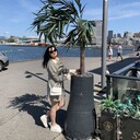  ,   , 51 ,   ,   , c , 