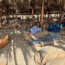 ���������� ������, ���� ������� ��������, 35 ���, ������������ ��� ���������