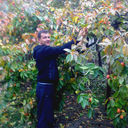 ���������� ������, ���� ������� VARDAN, 44 ����, ������������ ��� ������