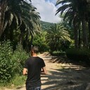  --,   , 28 ,   c 