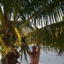  ,   , 44 ,   ,   , c 