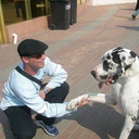 ���������� ����, ���� ������� �������, 56 ���, ������������ ��� ������, ����� � ���������, c�������� ���������