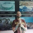 ���������� ���, ���� ������� ����, 36 ���, ������������ ��� ������, ����� � ���������