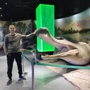  ,   , 44 ,   c , 