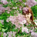 ���������� ������, ���� ������� Alisa, 24 ����, ������������ ��� ���������