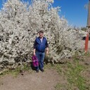  --,   , 55 ,   c 