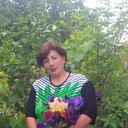  ,   , 51 ,  