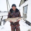 ���������� ������, ���� ������� ������, 43 ����, ������������ ��� ������, ����� � ���������