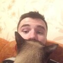  -,   , 29 ,   ,   , c 