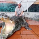  ,   , 65 ,   