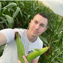 ���������� �������, ���� ������� �����, 32 ����, ������������ ��� ������, ����� � ���������, c�������� ���������