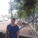 ���������� �������, ���� ������� Vanea, 38 ���, ������������ ��� ������, ����� � ���������, c�������� ���������