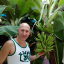 ���������� �������, ���� ������� ������, 51 ���, ������������ ��� ������, ����� � ���������, c�������� ���������