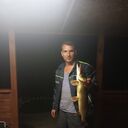 ���������� ����, ���� ������� �������, 33 ����, ������������ ��� ������, ����� � ���������, c�������� ���������, ���������