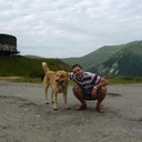 ���������� ������, ���� ������� GELA, 41 ���, ������������ 