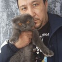 ���������� ������������, ���� ������� Artur, 40 ���, ������������ ��� ������, ����� � ���������