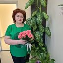 ���������� �������, ���� ������� ������, 55 ���, ������������ ��� c�������� ���������