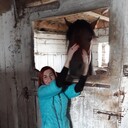  ,   , 52 ,   ,   , c 