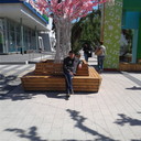 ���������� �������, ���� ������� ������, 43 ����, ������������ ��� ������, ����� � ���������, c�������� ���������