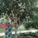  --,    , 71 ,   ,   , 