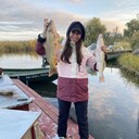  ,   , 28 ,     , c , 