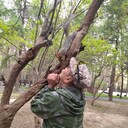  ,   , 59 ,   ,   , c , 