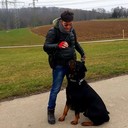 ���������� �������, ���� ������� David, 46 ���, ������������ ��� ������, ����� � ���������, c�������� ���������