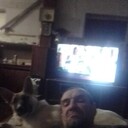 ���������� ���������, ���� ������� ���������, 52 ����, ������������ ��� ������, ����� � ���������, c�������� ���������