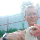  ,   , 59 ,   ,   