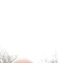  -,   , 49 ,   ,   