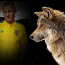 ���������� �������, ���� ������� �����, 43 ����, ������������ ��� ������, ����� � ���������, c�������� ���������