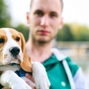 ���������� �����������, ���� ������� �������, 37 ���, ������������ ��� ������, ����� � ���������, c�������� ���������