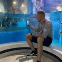 ���������� �����������, ���� ������� ������, 36 ���, ������������ ��� ������, ����� � ���������, c�������� ���������, ���������