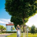 ���������� ������, ���� ������� ��������, 37 ���, ������������ ��� ������, ����� � ���������, c�������� ���������, ���������