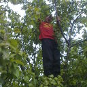  ,   , 43 ,   ,   , c 