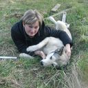 ���������� ����, ���� ������� ��������, 55 ���, ������������ ��� ����� � ���������, c�������� ���������