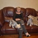 ���������� ������, ���� ������� �������, 65 ���, ������������ 