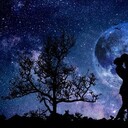 ���������� �������, ���� ������� Davron, 36 ���, ������������ ��� ������, ����� � ���������, c�������� ���������, ���������