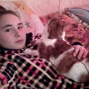  -,   , 29 ,   