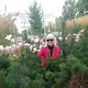 ���������� ���������, ���� ������� ��������, 66 ���, ������������ ��� c�������� ���������